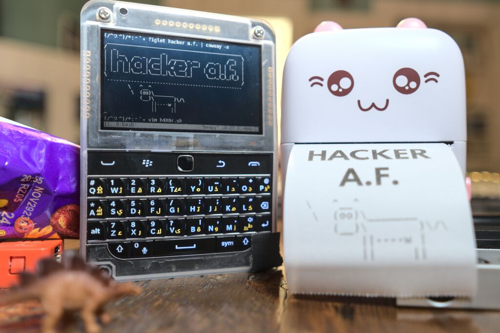 Review: Beepy, the pocket-sized, linux-powered cyberdeck - Tyler 